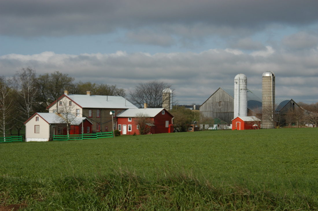 A Mennonite farm near St. Jacob's.